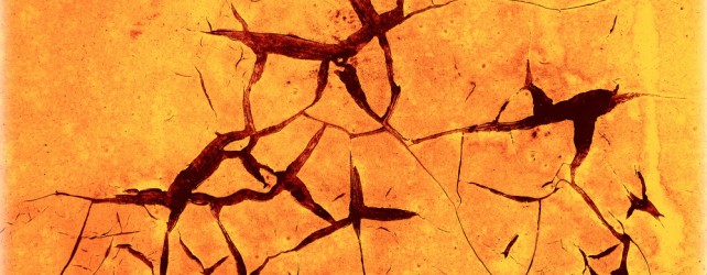 Why Do Scars Change Color?