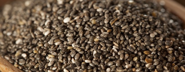 Chia Seeds Nutrition and Recipes